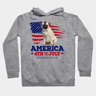 Pug Flag USA - America 4th Of July Independence Day Hoodie